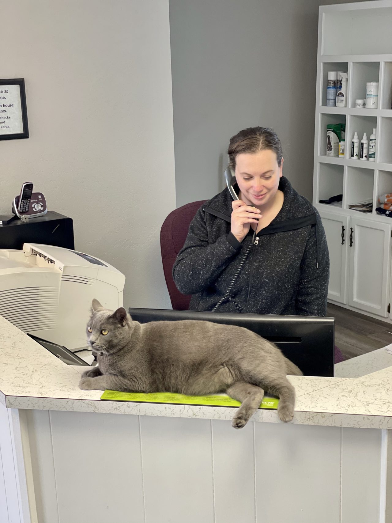 About Pampa Animal Hospital Pampa, Texas 79065